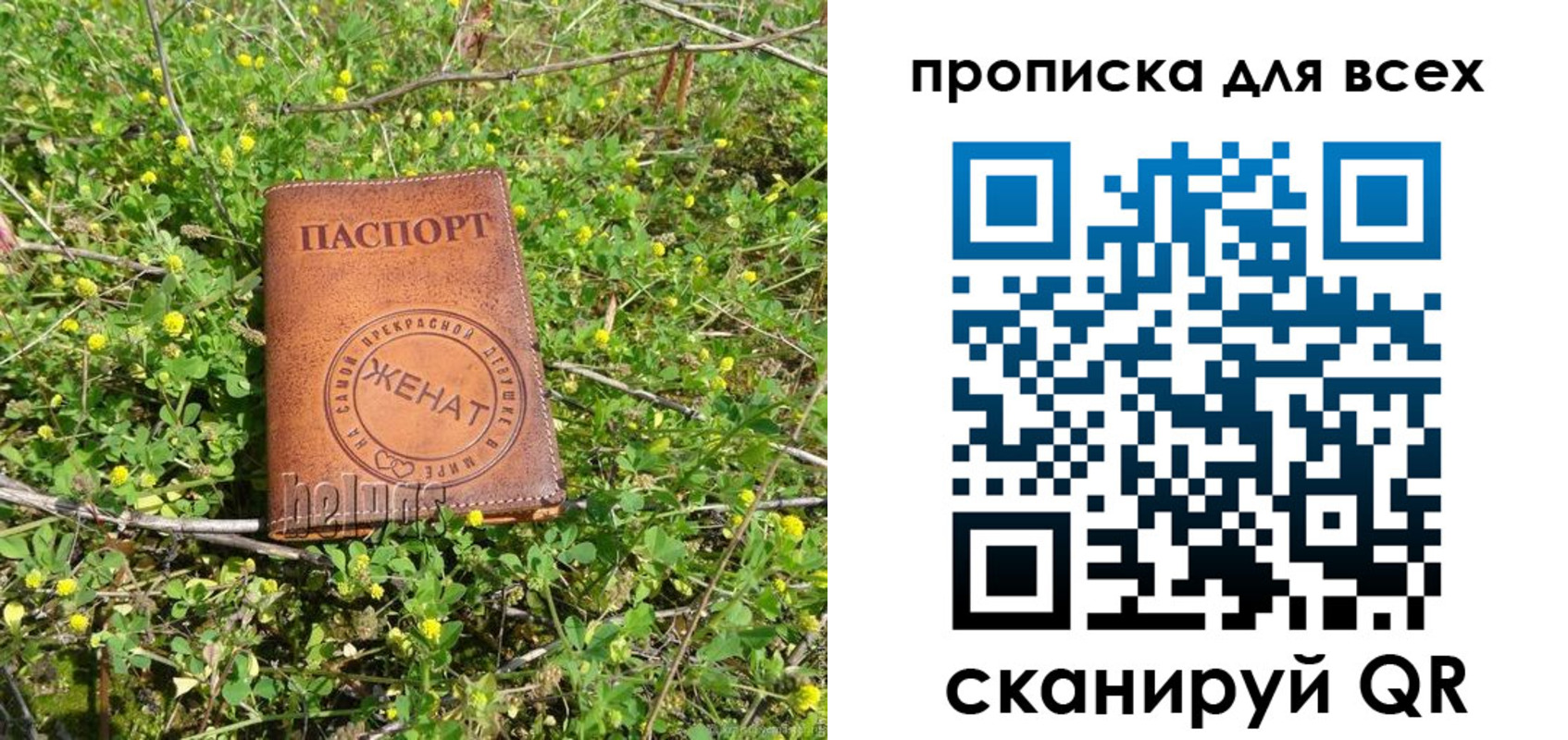 прописка поиск в Чудово